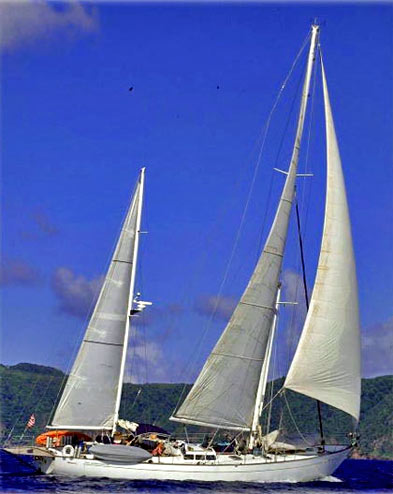 sailing yacht oasisis